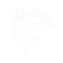 dolphin storee